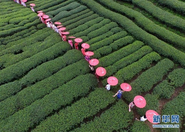 大美春天 航拍中国