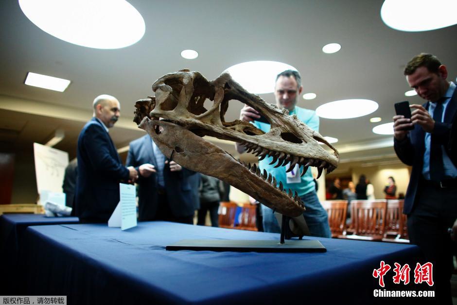 美国归还蒙古六种恐龙化石