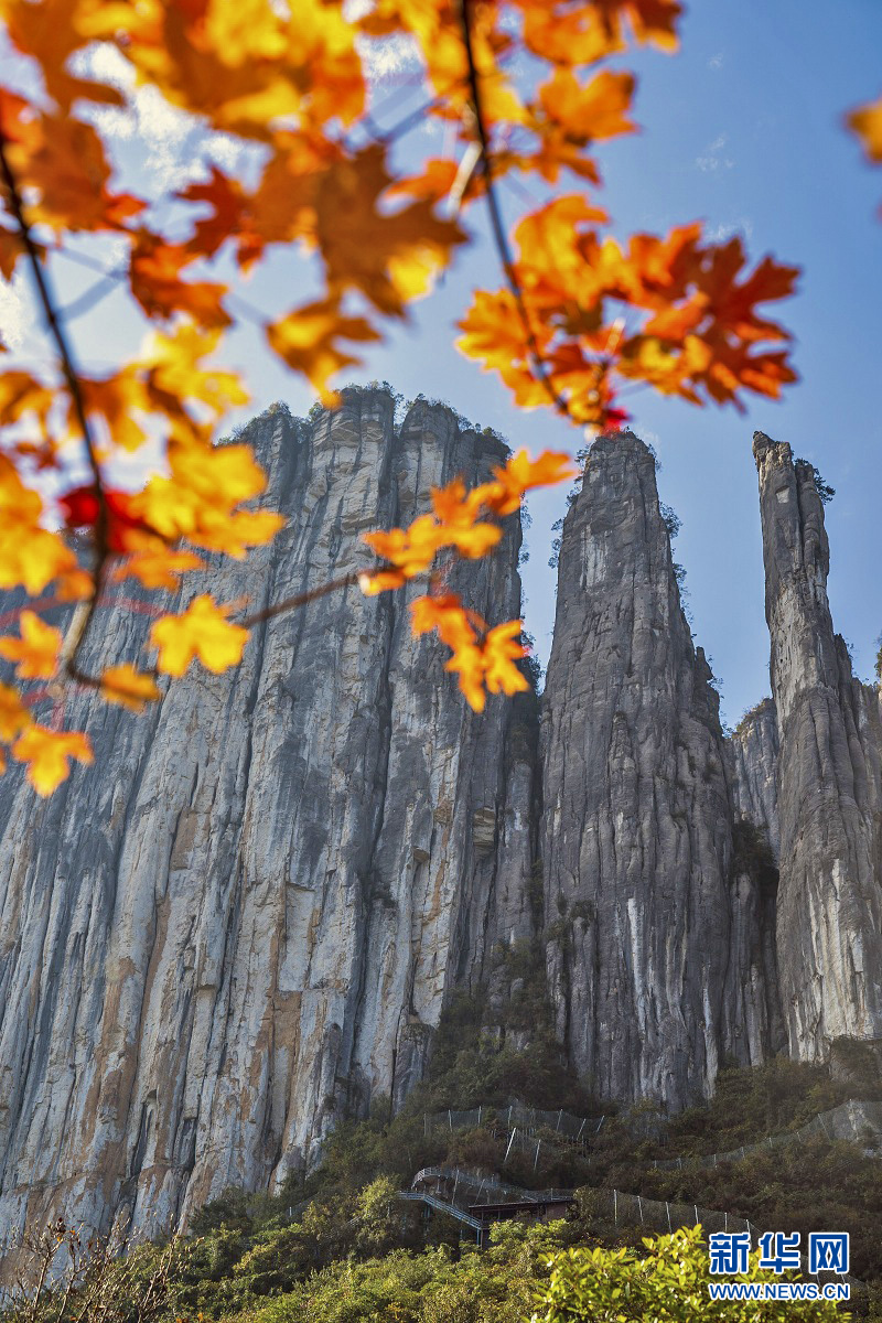 湖北恩施：峡谷秋色 胜景迷人