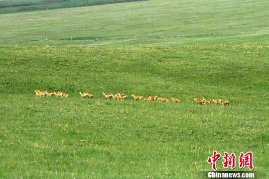 图片默认标题_fororder_20190625Gansu1