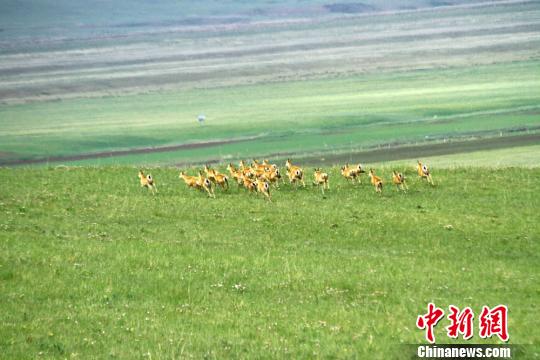 图片默认标题_fororder_20190625Gansu3