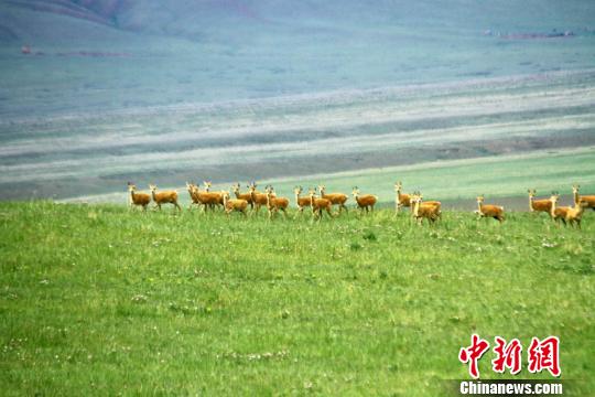 图片默认标题_fororder_20190625Gansu4