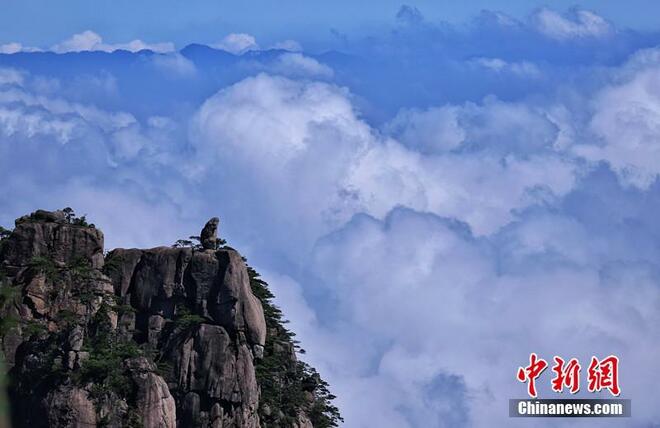 图片默认标题_fororder_20190625BundokHuang5