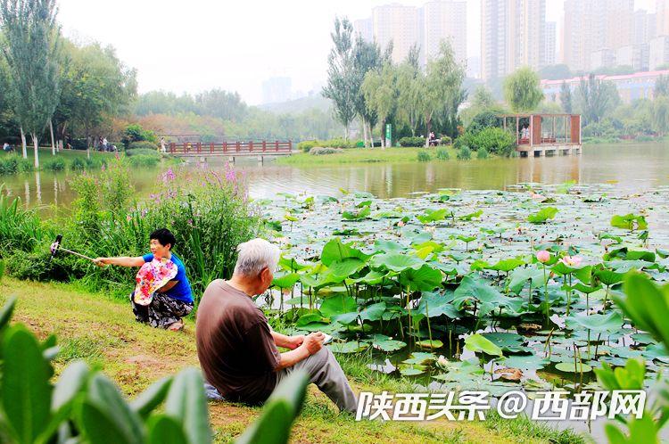 桃花潭水深千尺 映日荷花别样红