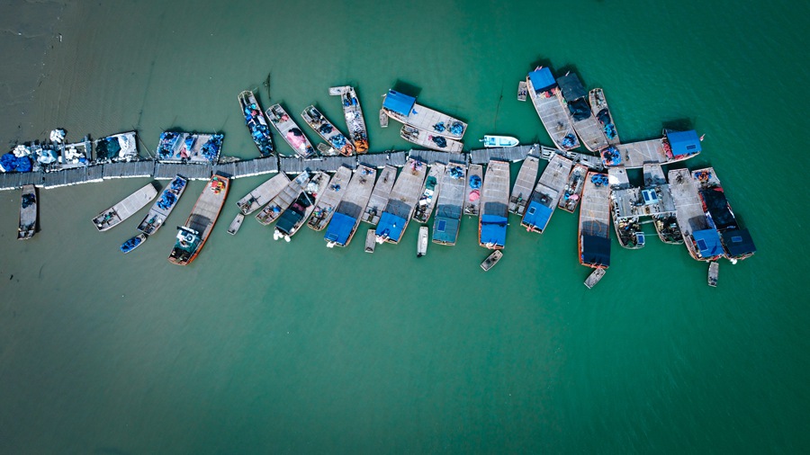 探訪閩東小漁村：青山、村落、漁港、海灣，敘説著新時代漁民的幸福生活