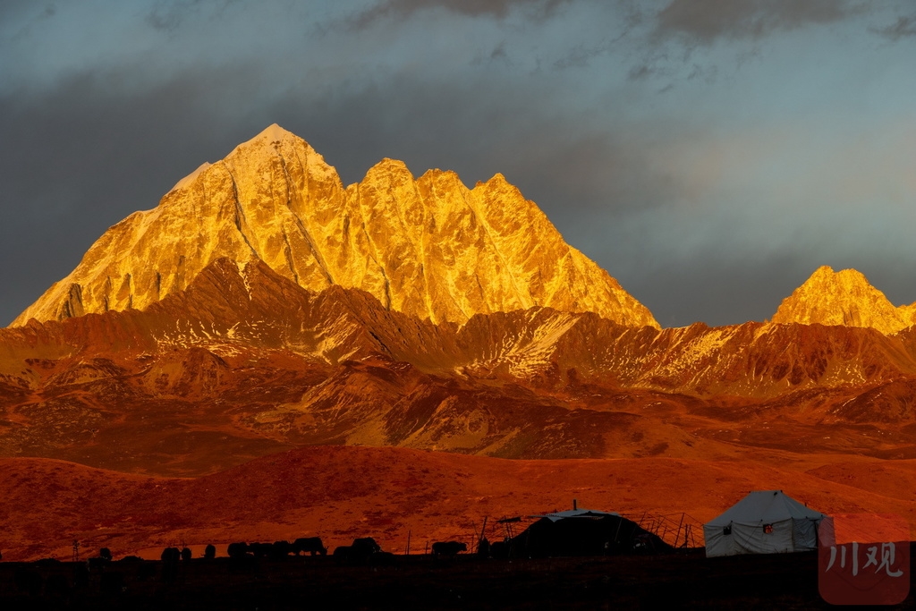 （中首）半山彩林半山雪 川西高原美得令人窒息