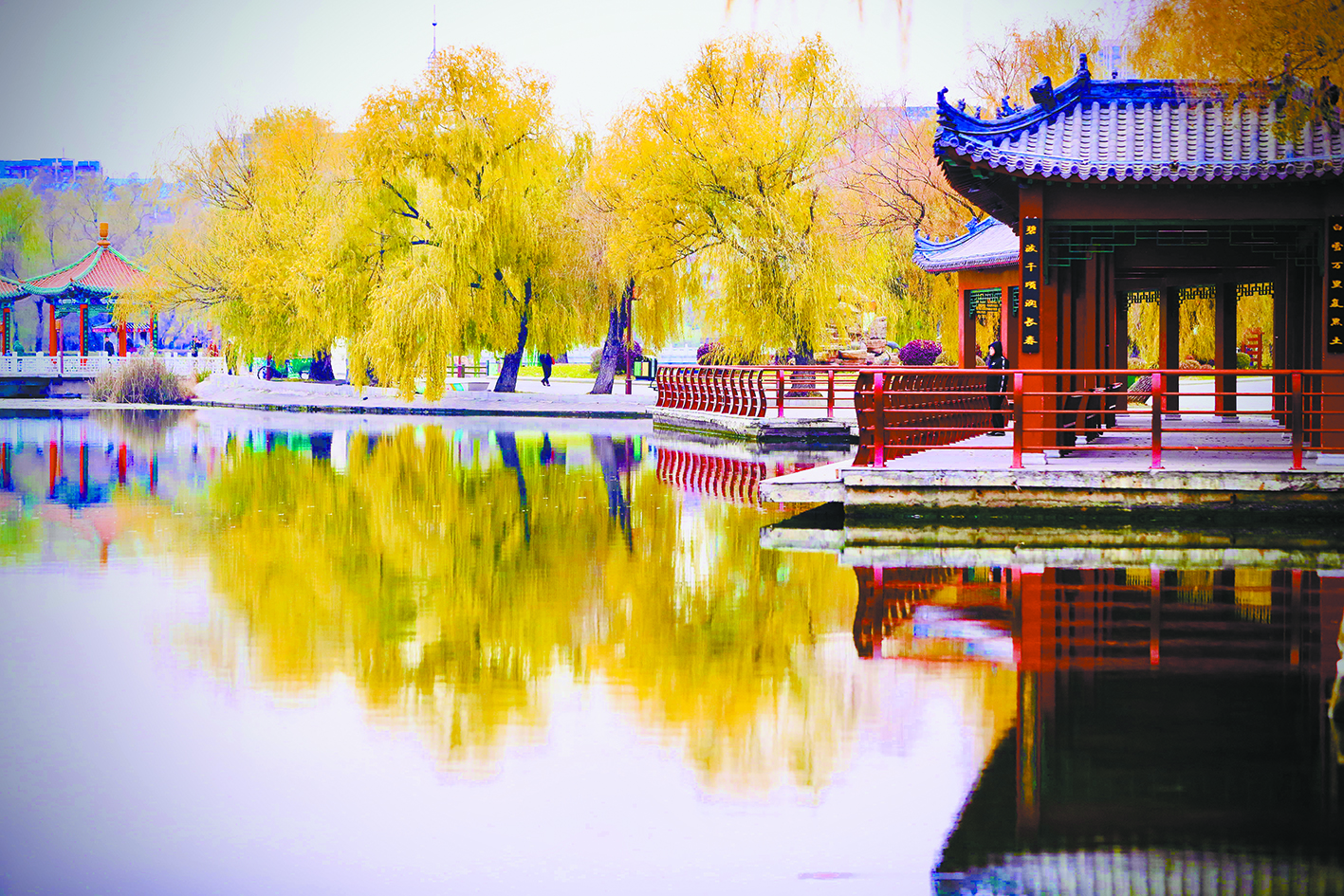 长春：南湖秋叶