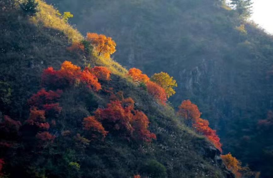 河南三門峽：秋色斑斕宛如畫卷