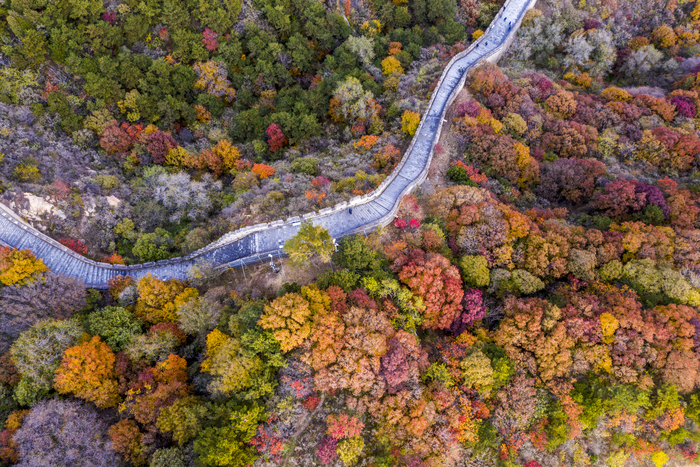 가을빛으로 물든 만리장성_fororder_1331574152621719625