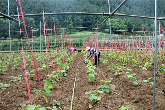 图片默认标题_fororder_f8353691-73dc-4fdd-aae2-7aa3e880b0b7