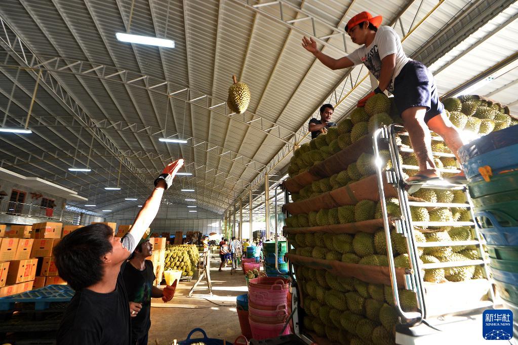 博采众长，进而有为——写在第四届中国国际进口博览会开幕之际