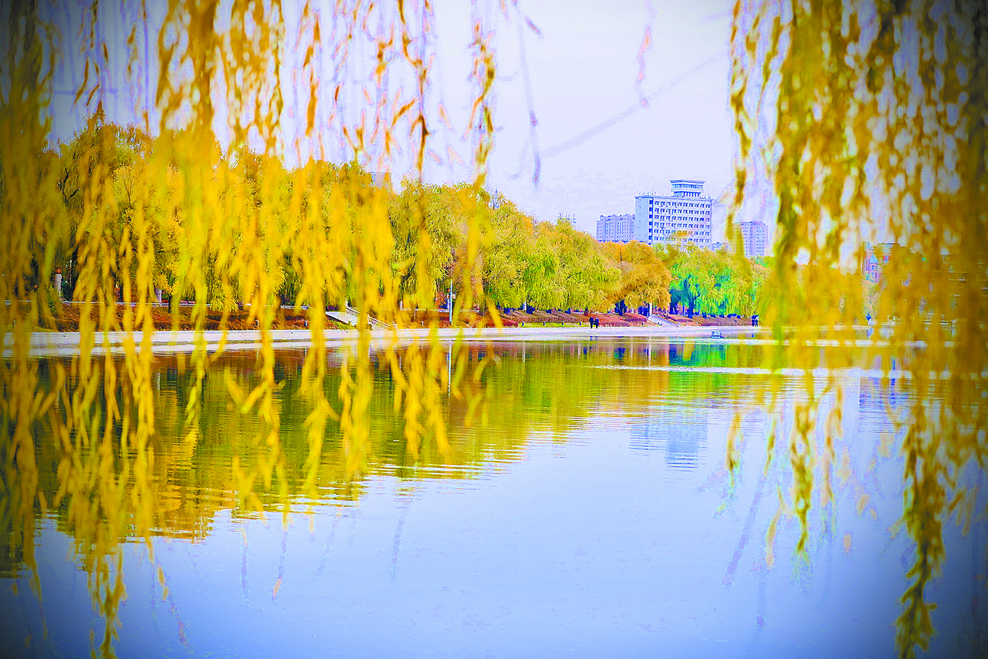 长春：南湖秋叶