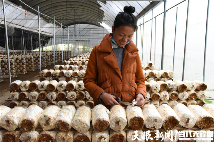 贵州水城：坚守底线 向“高”而行