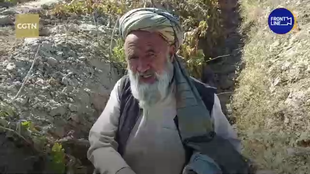 总台阿富汗直击丨曾经最大的葡萄盛产地如今只剩贫瘠