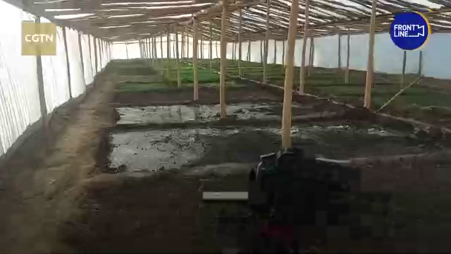 总台阿富汗直击丨曾经最大的葡萄盛产地如今只剩贫瘠