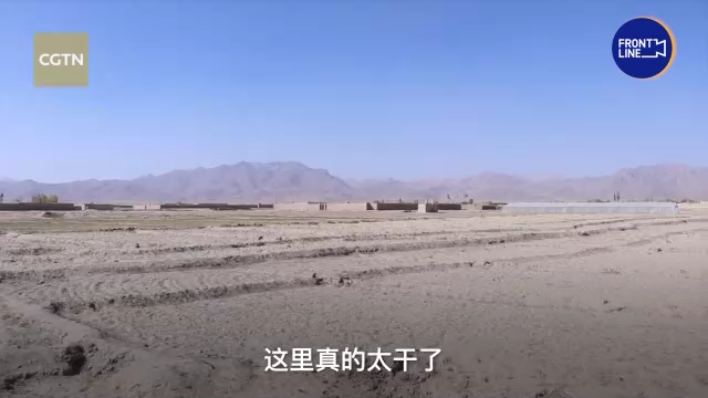 总台阿富汗直击丨曾经最大的葡萄盛产地如今只剩贫瘠