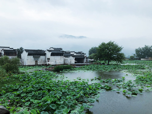 图片默认标题_fororder_%5c%5c172.100.100.3%5ctemp%5c9500041%5c1%5c9500041_1_1_cbba3055-1bbb-452c-aab4-9fb215258c79_副本