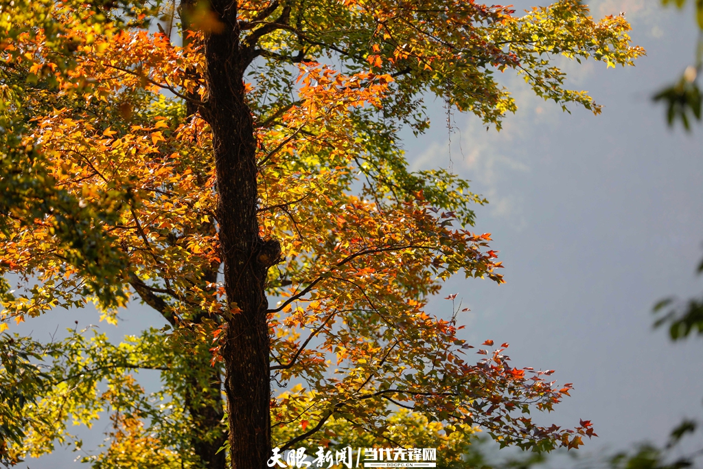 （中首）黔东南剑河：冬日乡村美如画 生态宜居好生活