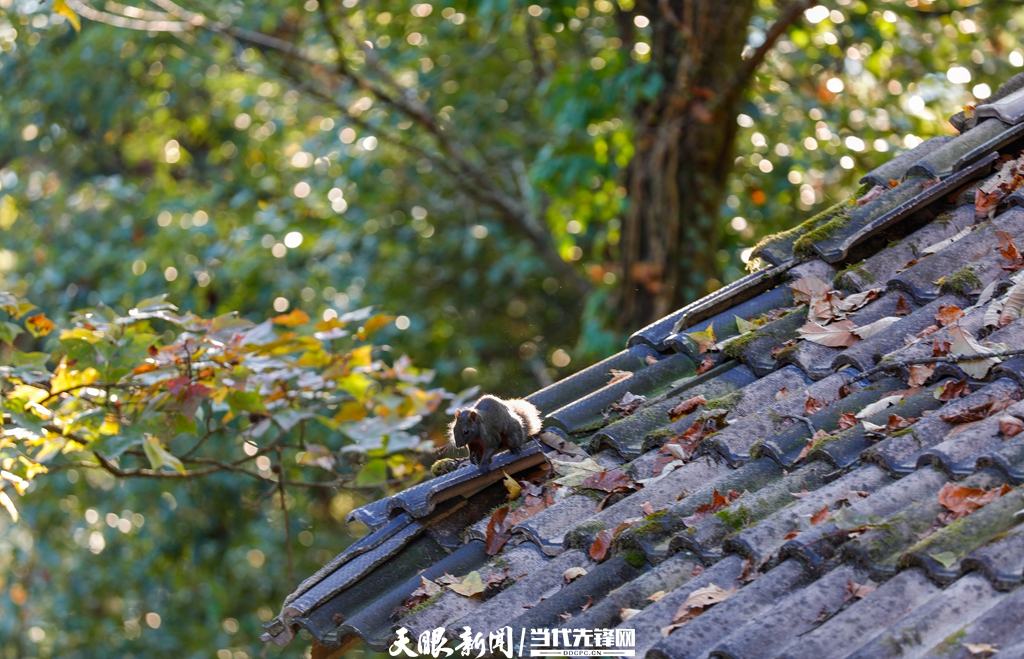 （中首）黔东南剑河：冬日乡村美如画 生态宜居好生活