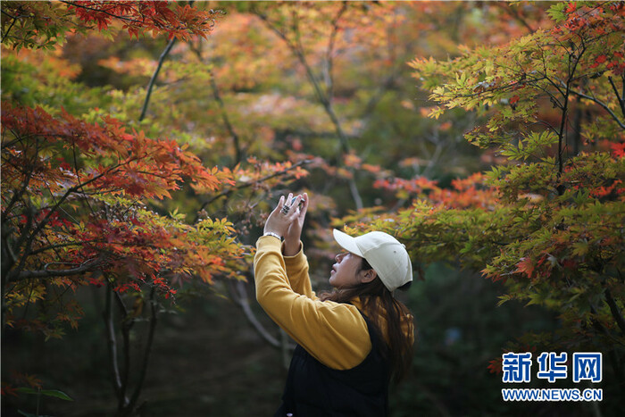 귀주 귀양, 그림같은 가을 비경_fororder_rBABCWF_OZuAK7scAAAAAAAAAAA401.800x533