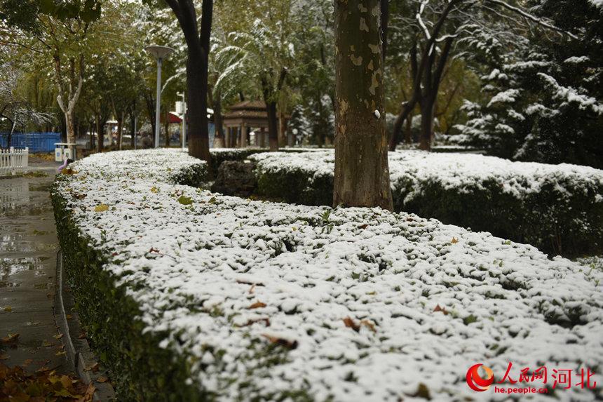 白雪皑皑银装素裹 河北各地迎来今冬“初雪”