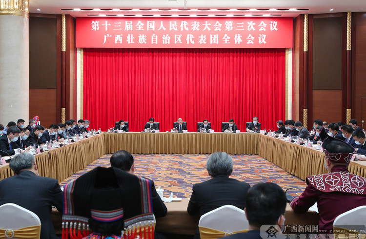 广西代表团传达学习习近平总书记对毛南族实现整族脱贫重要指示精神 鹿心社陈武讲话