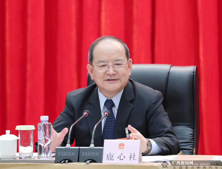 廣西代表團傳達學習習近平總書記對毛南族實現整族脫貧重要指示精神 鹿心社陳武講話