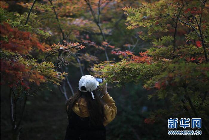귀주 귀양, 그림같은 가을 비경_fororder_rBABCmF_OZyAQvKpAAAAAAAAAAA004.800x533