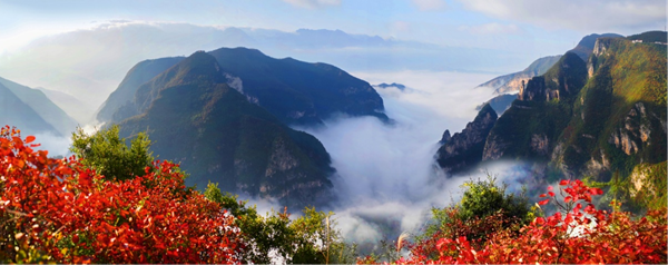 【原创】重庆巫山推出12条红叶观赏线路_fororder_图片2