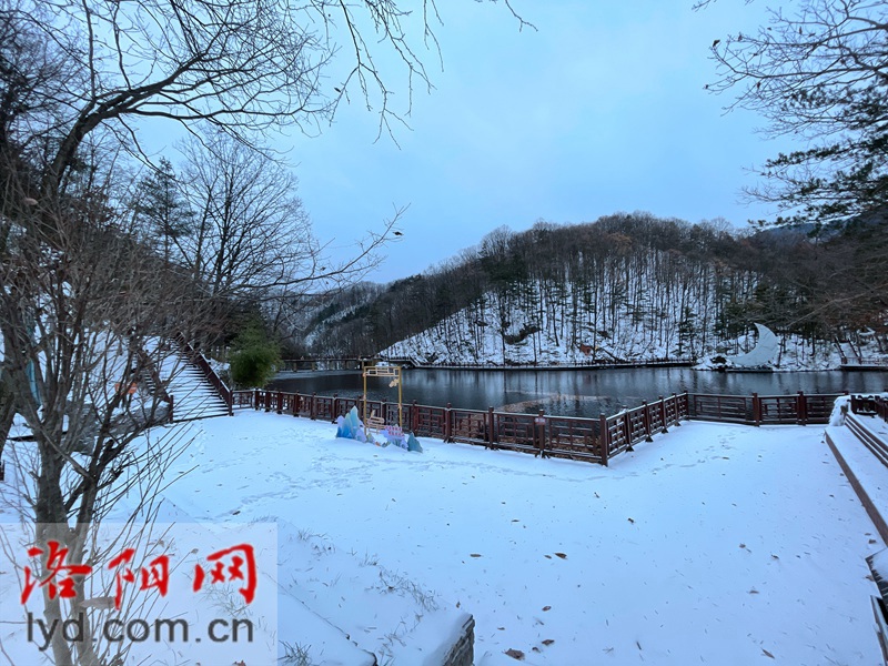 美成仙境！洛阳白云山迎新一轮降雪