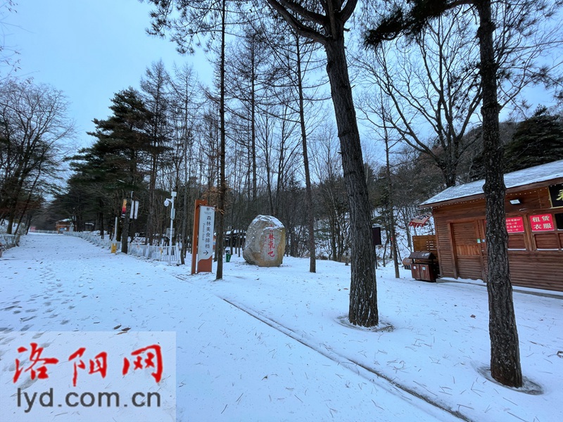 美成仙境！洛阳白云山迎新一轮降雪
