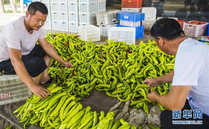 图片默认标题_fororder_1210169830_15614687601501n