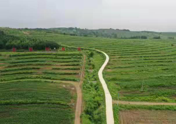 2021年度国家水土保持示范名单公示 东辽县入选国家水土保持示范县