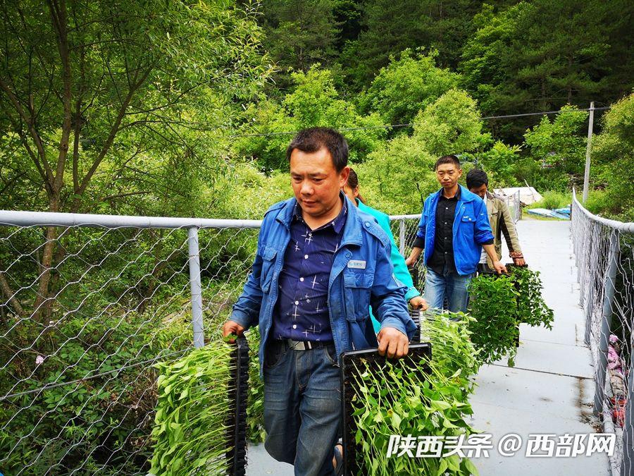 寧陜新場鎮園區升級助推産業振興 貧困戶家門口就能上班