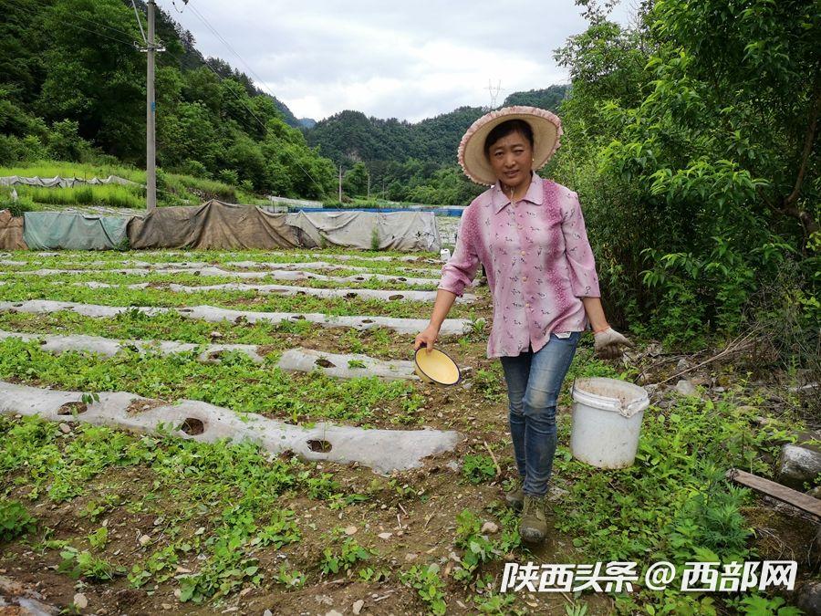 寧陜新場鎮園區升級助推産業振興 貧困戶家門口就能上班