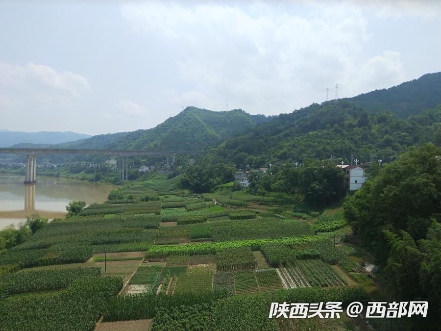 石泉太阳村的“太阳产业” 让村民富了起来