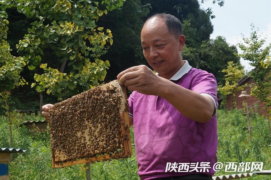 石泉太阳村的“太阳产业” 让村民富了起来
