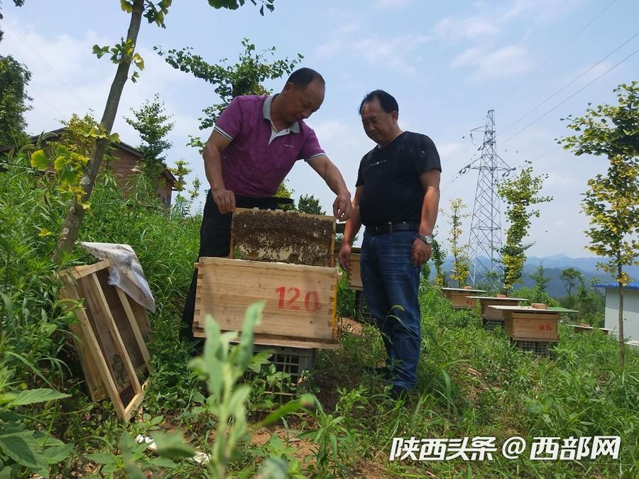石泉太阳村的“太阳产业” 让村民富了起来