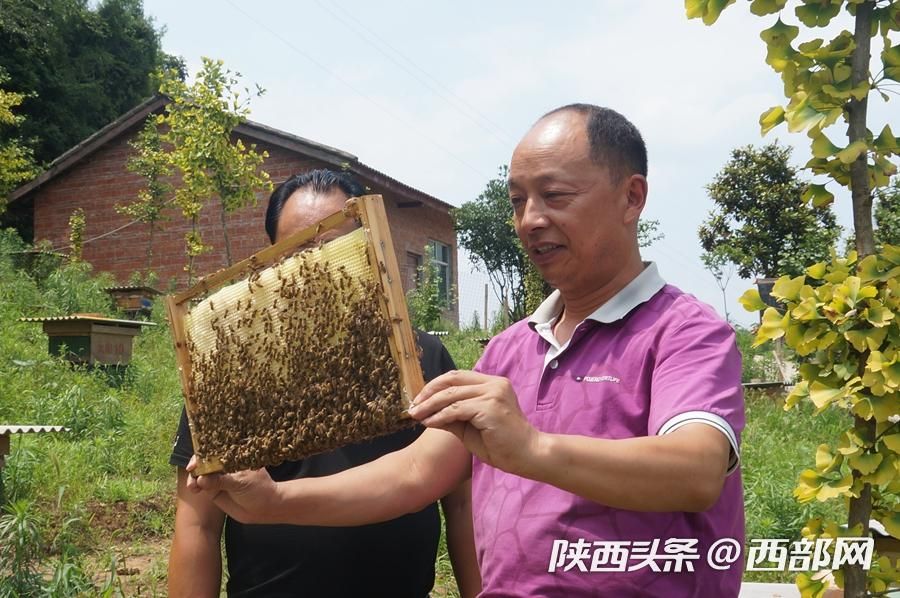 石泉太阳村的“太阳产业” 让村民富了起来