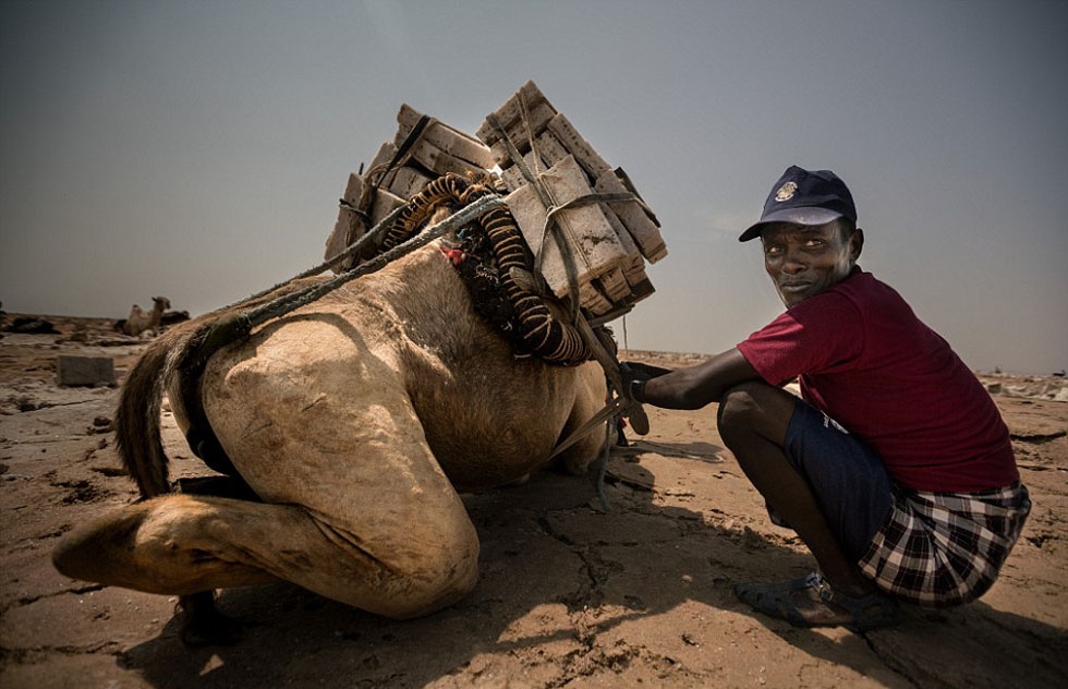 探秘世界最艰苦工作:在"地狱之门"挖盐(高清组图)