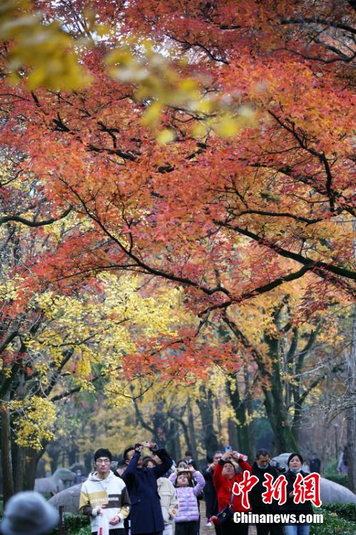 Jalan Terindah Nanjing_fororder_zuime2