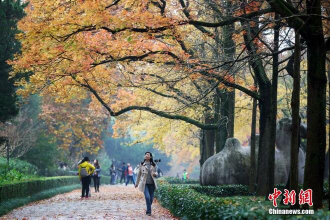 Jalan Terindah Nanjing_fororder_zuime5