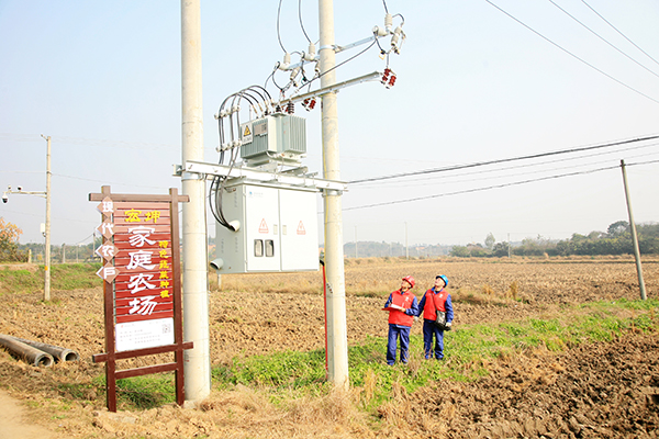 （勿签）国网德阳供电公司：田野里的主题党日_fororder_mmexport1637910005333