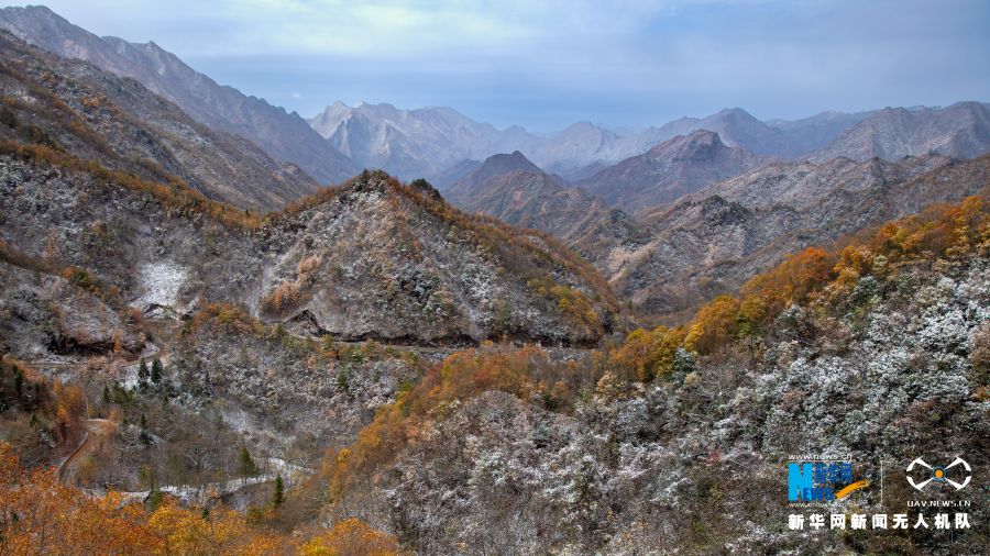 【城市远洋】重庆城口邂逅大雪 漫山彩林“白了头”