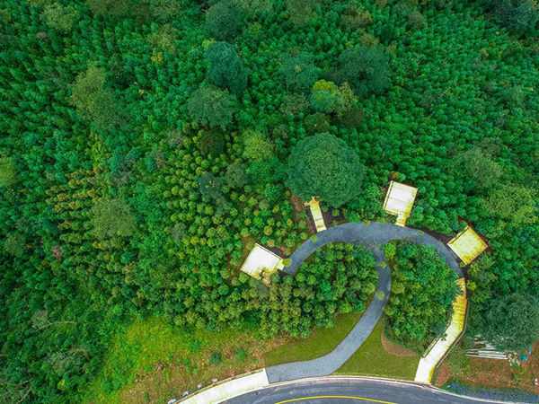 雅安雨城：多維度堅守生態“本色” 助推“綠色發展先行示範區”建設_fororder_ͼƬ1