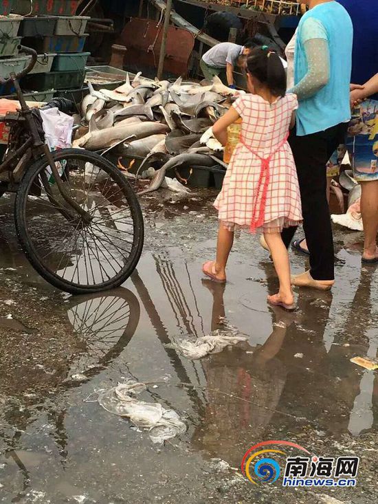 圖片默認標題