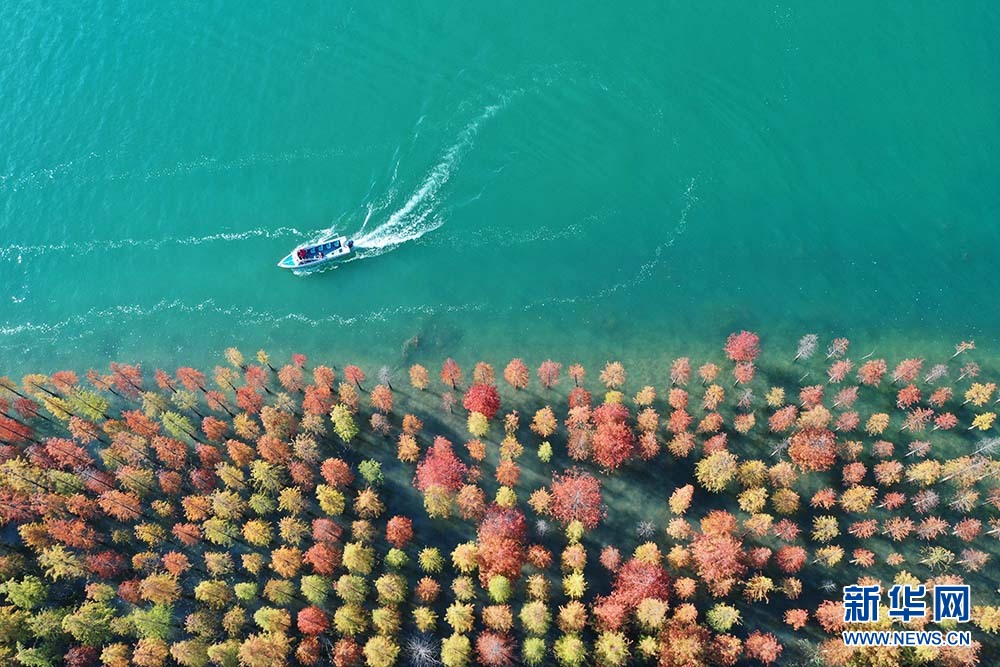 湖北荆门：漳河初冬 美景如画
