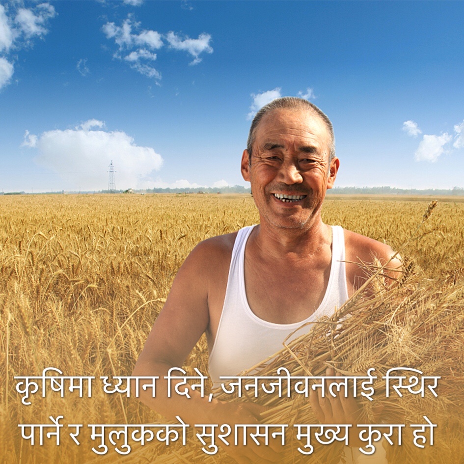 चिनियाँ विशेषतायुक्त समाजवादी नयाँ युगमा के कस्ता उपलब्धिहरू हासिल भएका छन्?_fororder_1-nongye