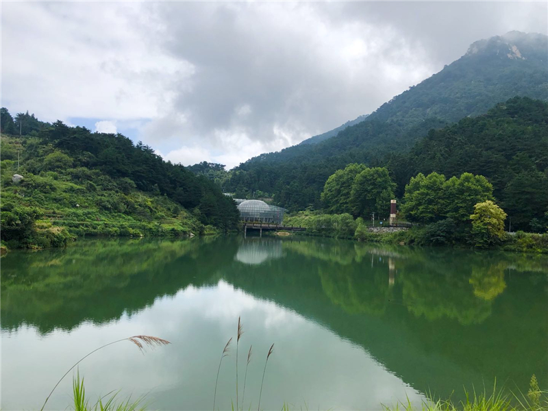 【湖北】【客户稿件】麻城龟峰山景区迎避暑游小高峰（组图）