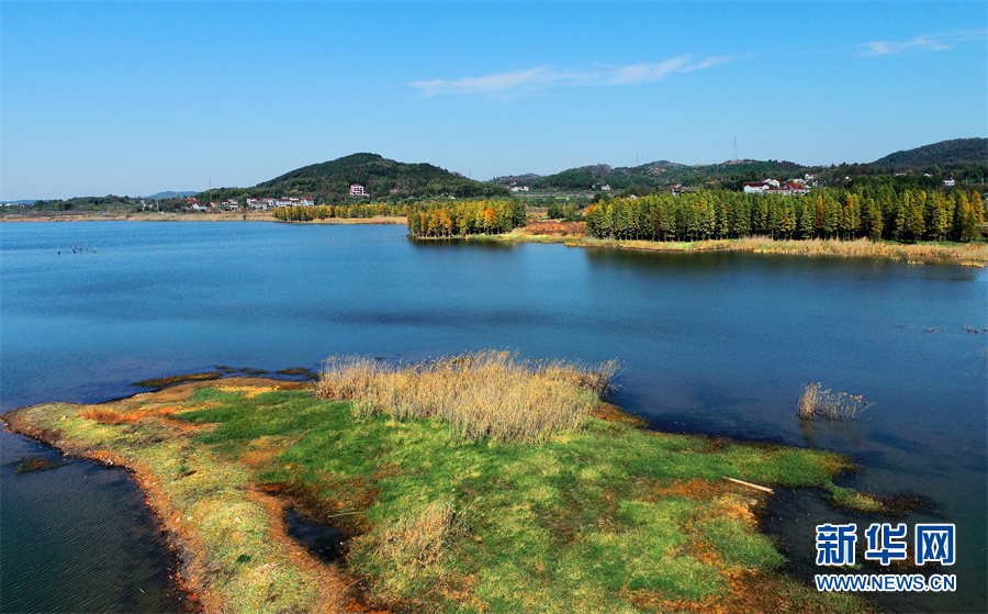 初冬霜色浓 湿地别样美